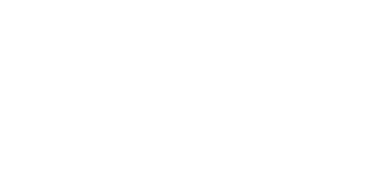 The North Face logo white
